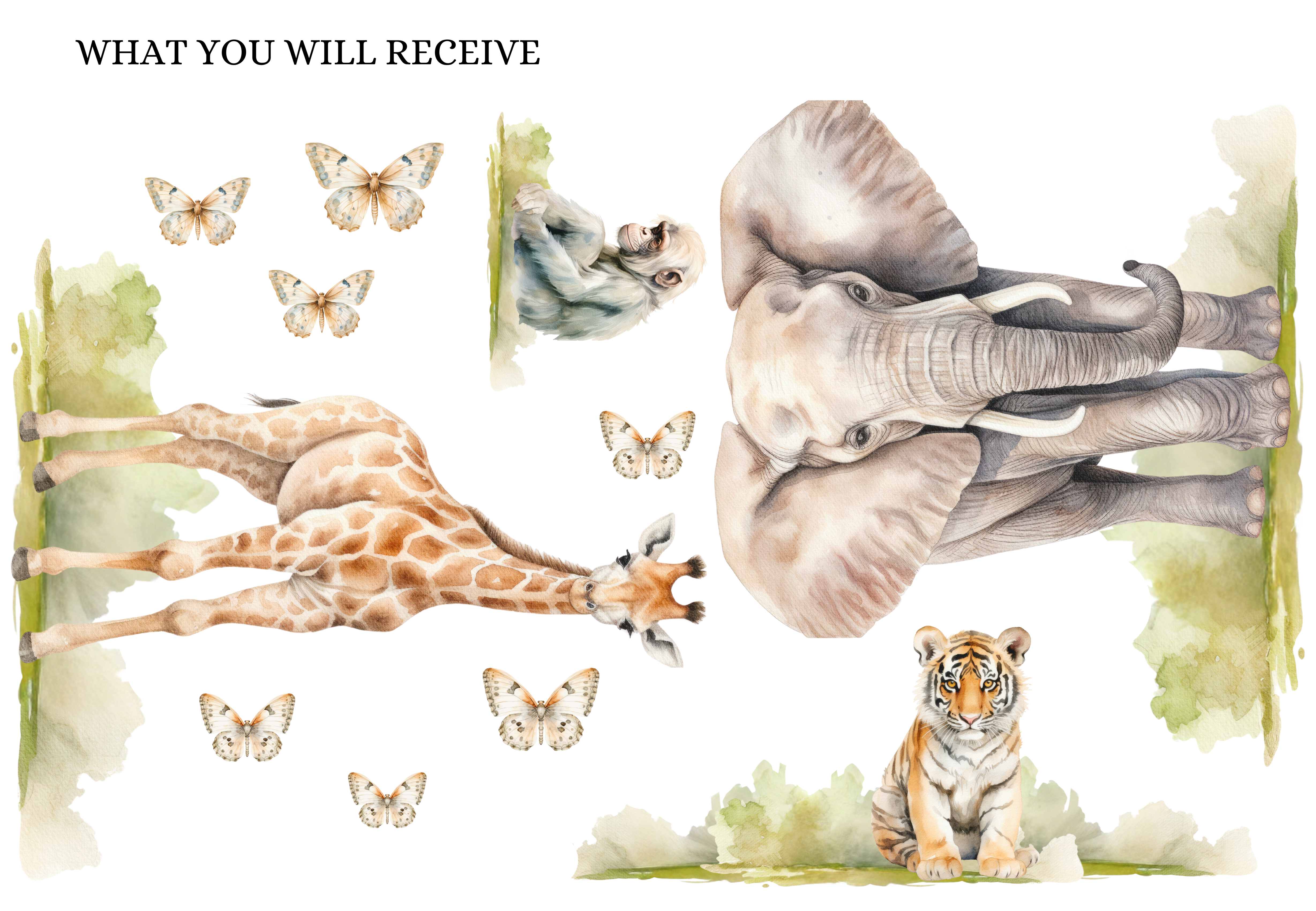 Safari Haven Wall Decal