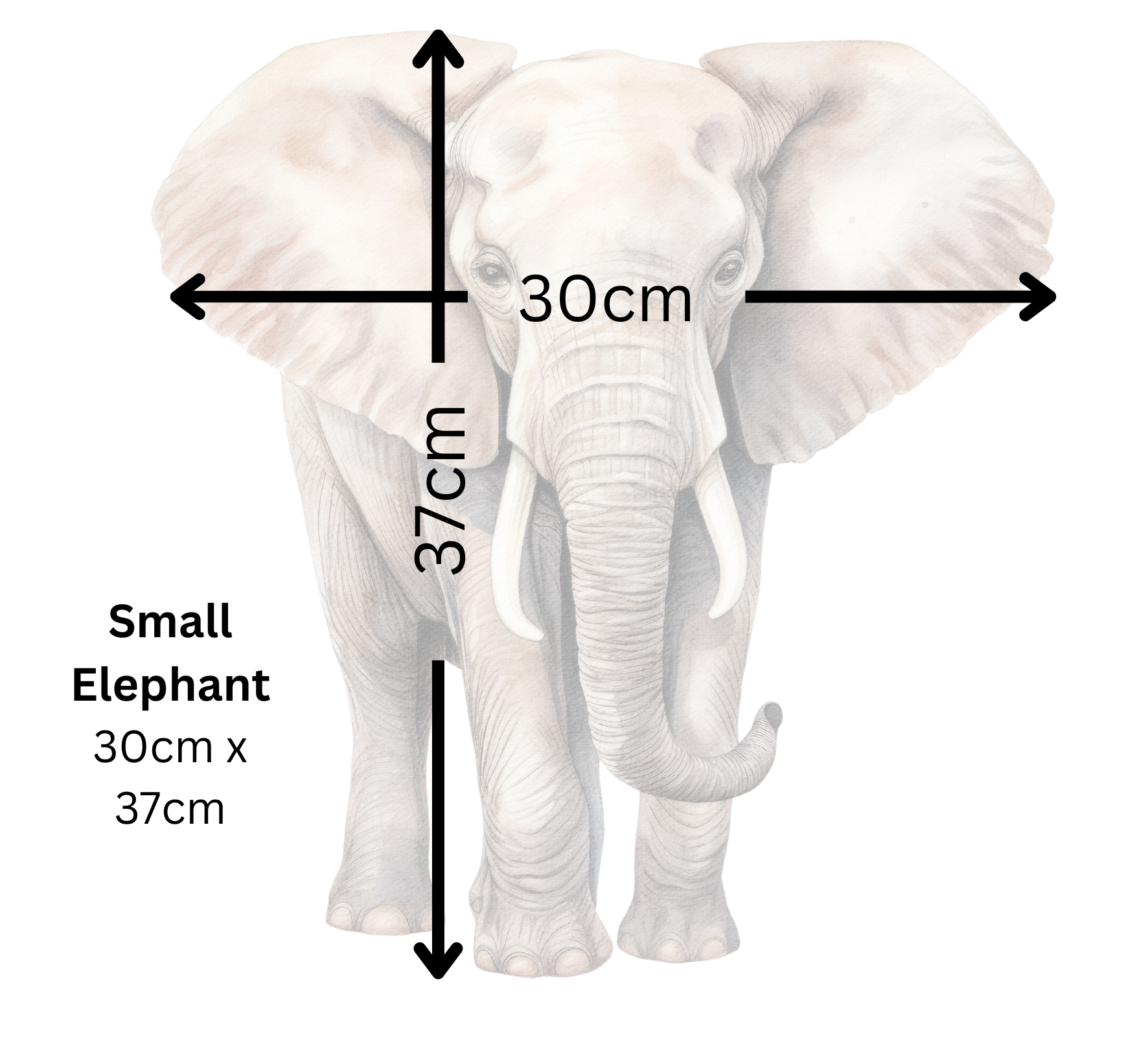 Elephant Wall Decal