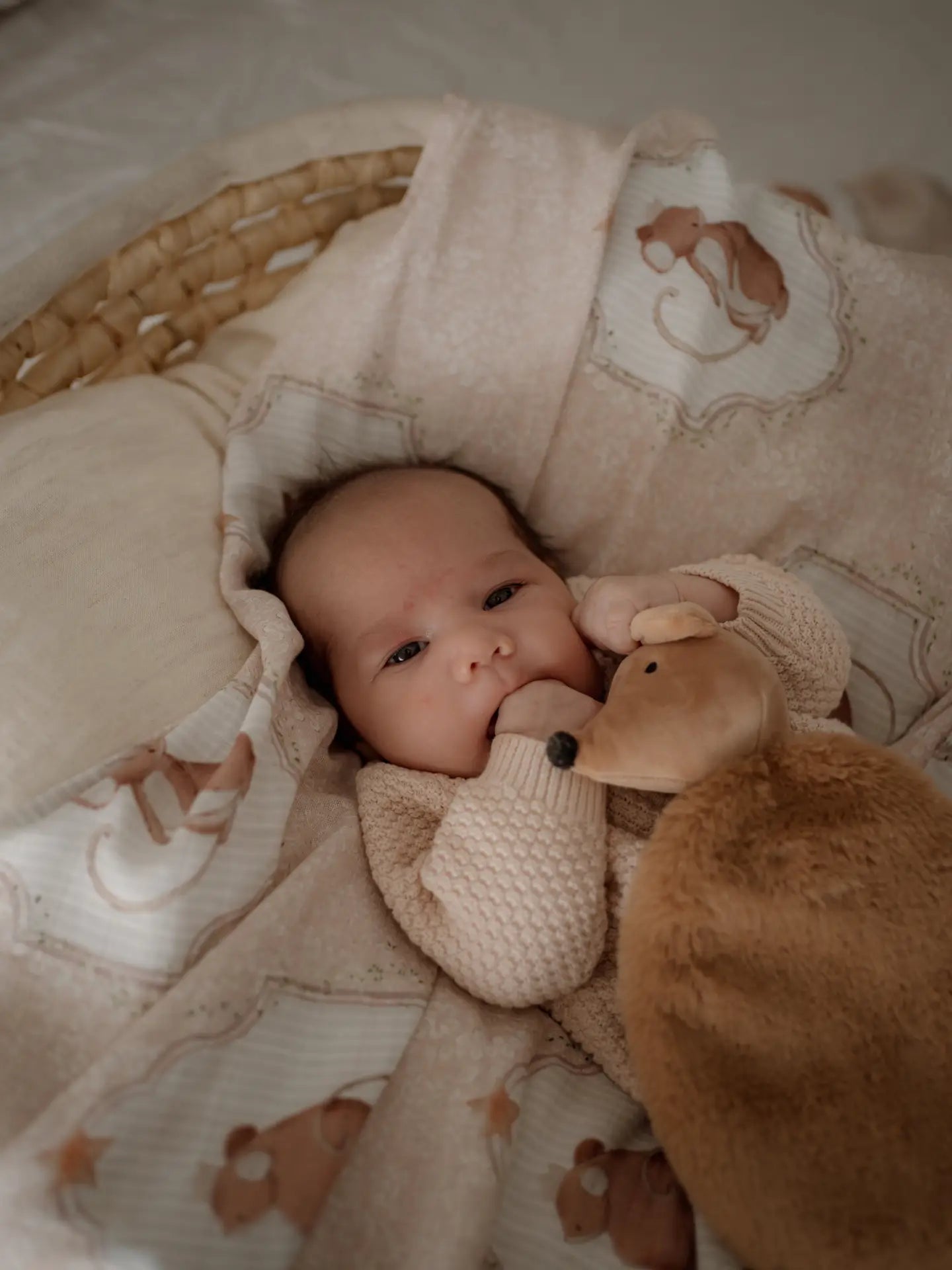 Buy now from My Snug Bug Swaddles Sweet Squeak Swaddle Wrap Pop Ya Tot
