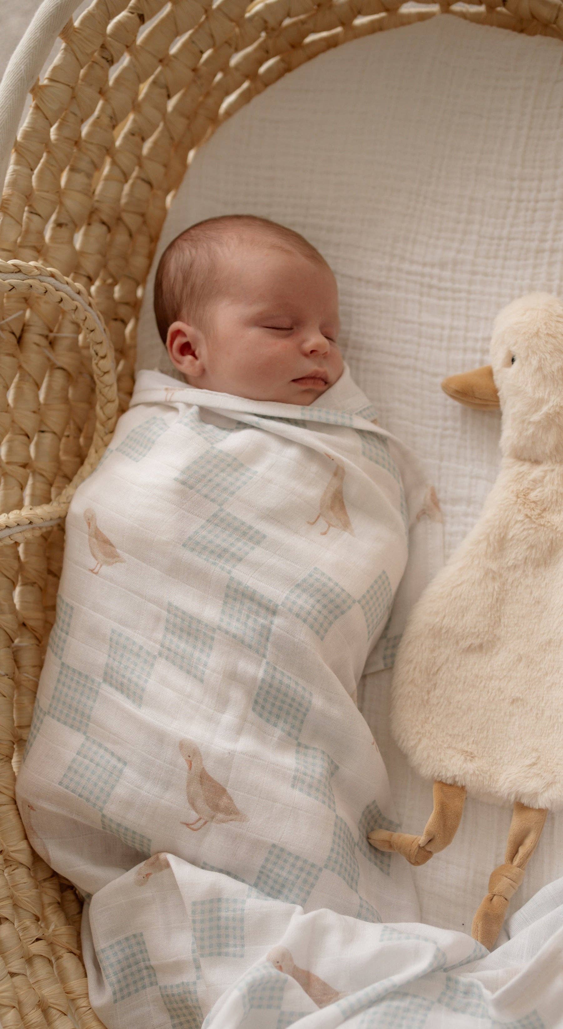 First Snuggles Bundle