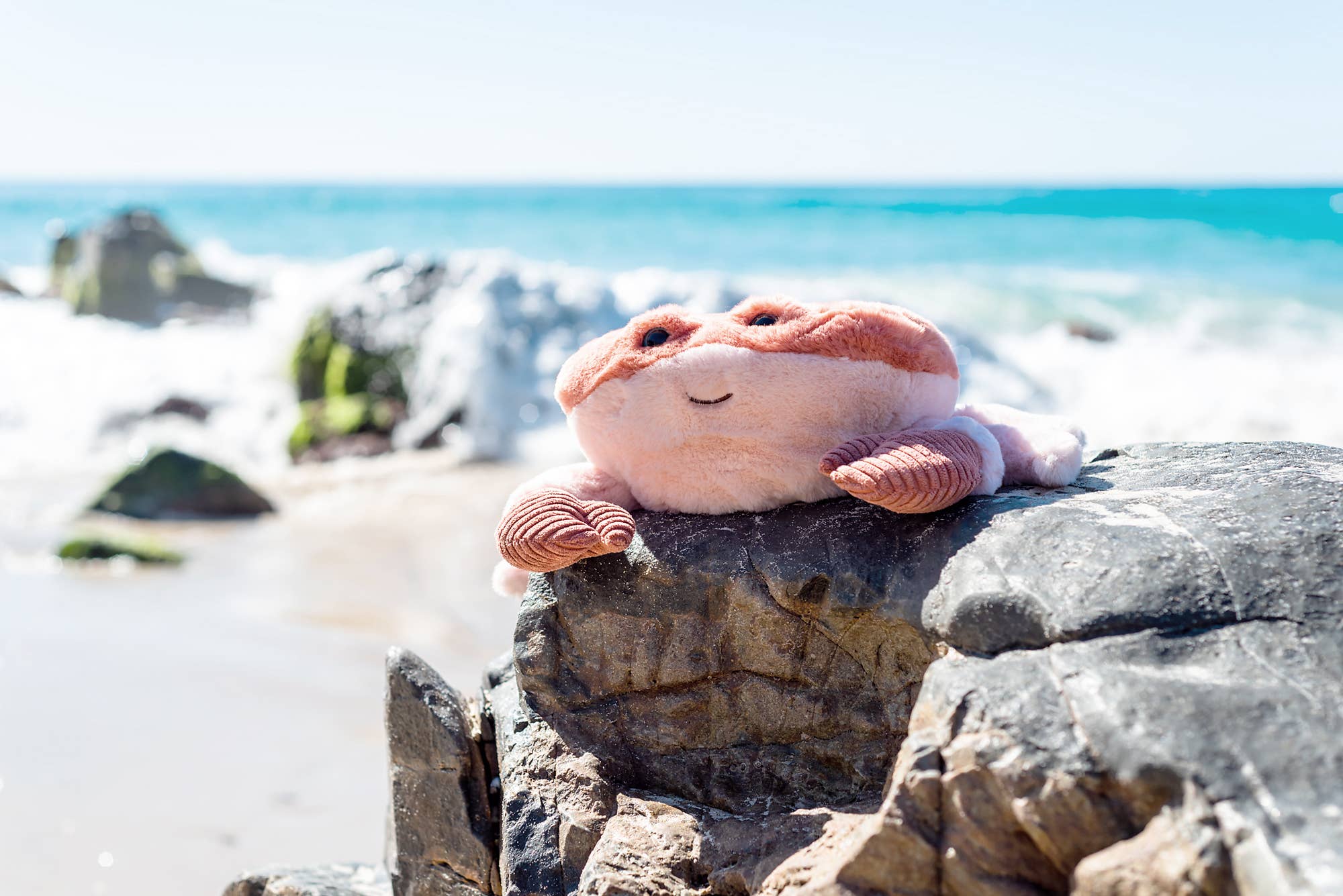 Buy now from My Snug Bug Plush Toy Kenzo Crab Soft Toy OB Australia