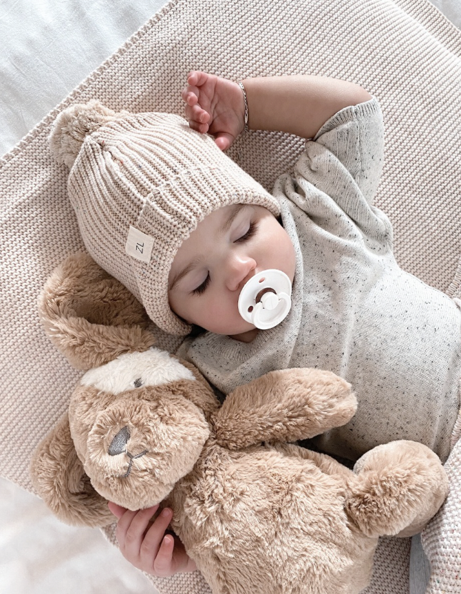 Little Duke Dog Caramel