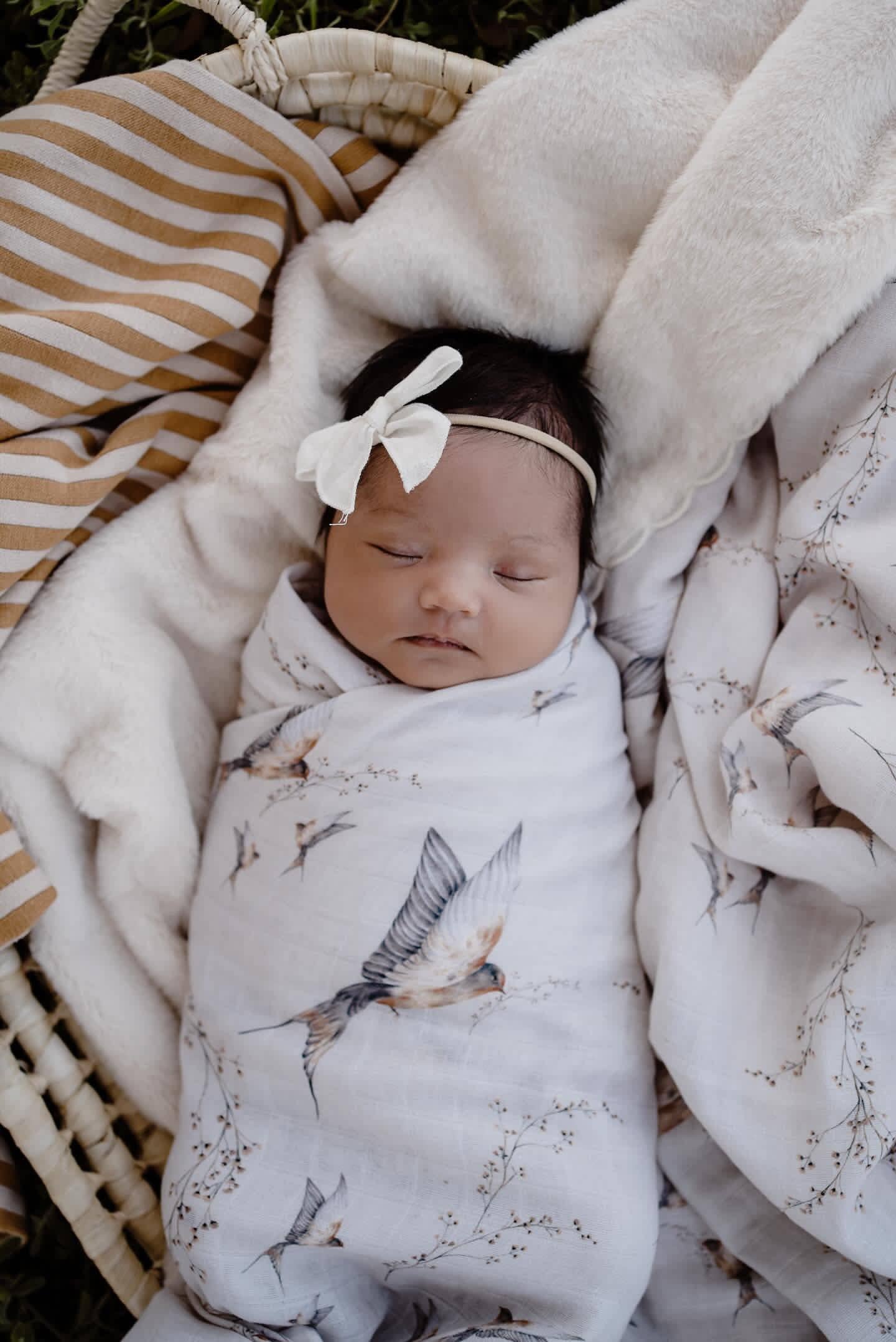 First Snuggles Bundle