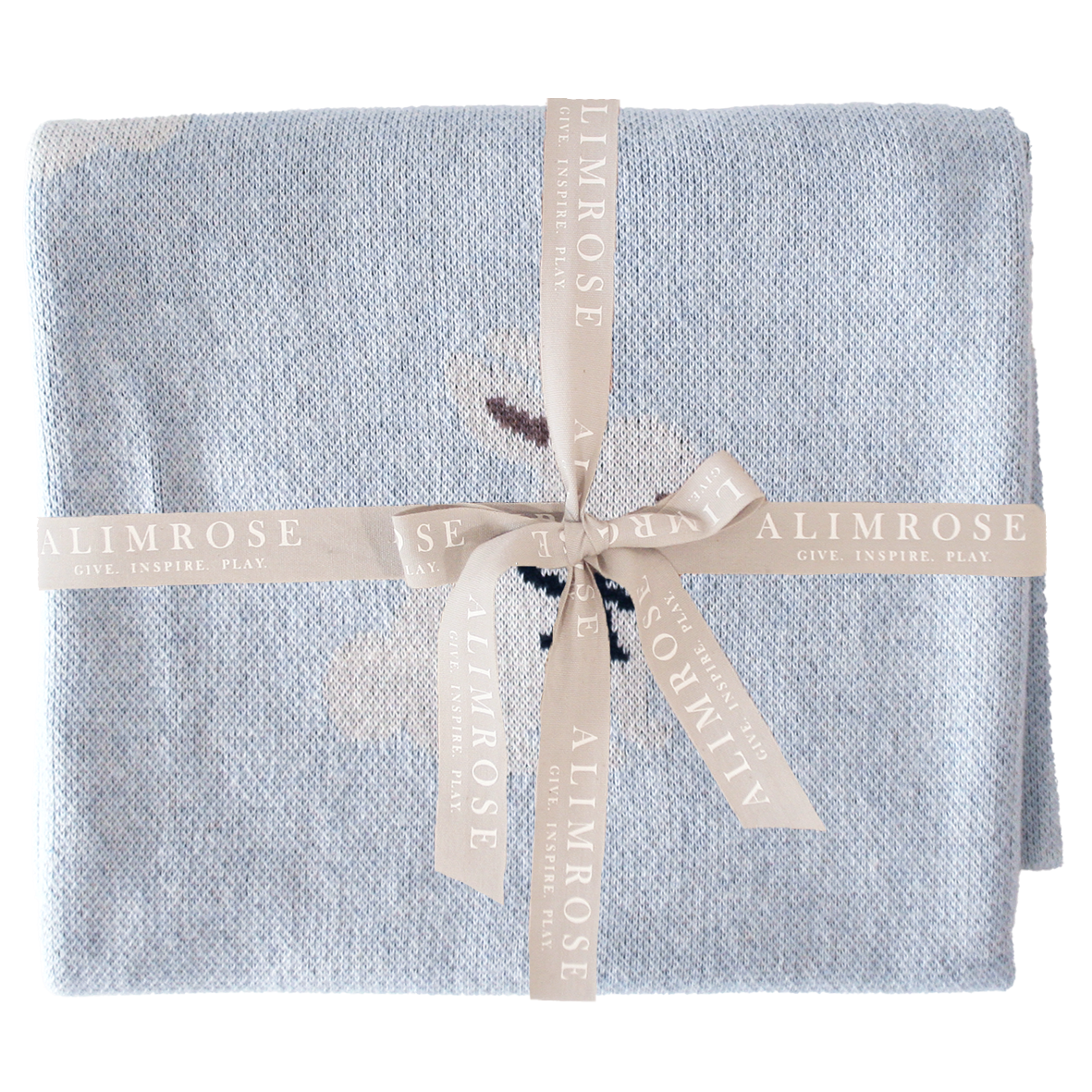 Baby Blue Bunny Blanket