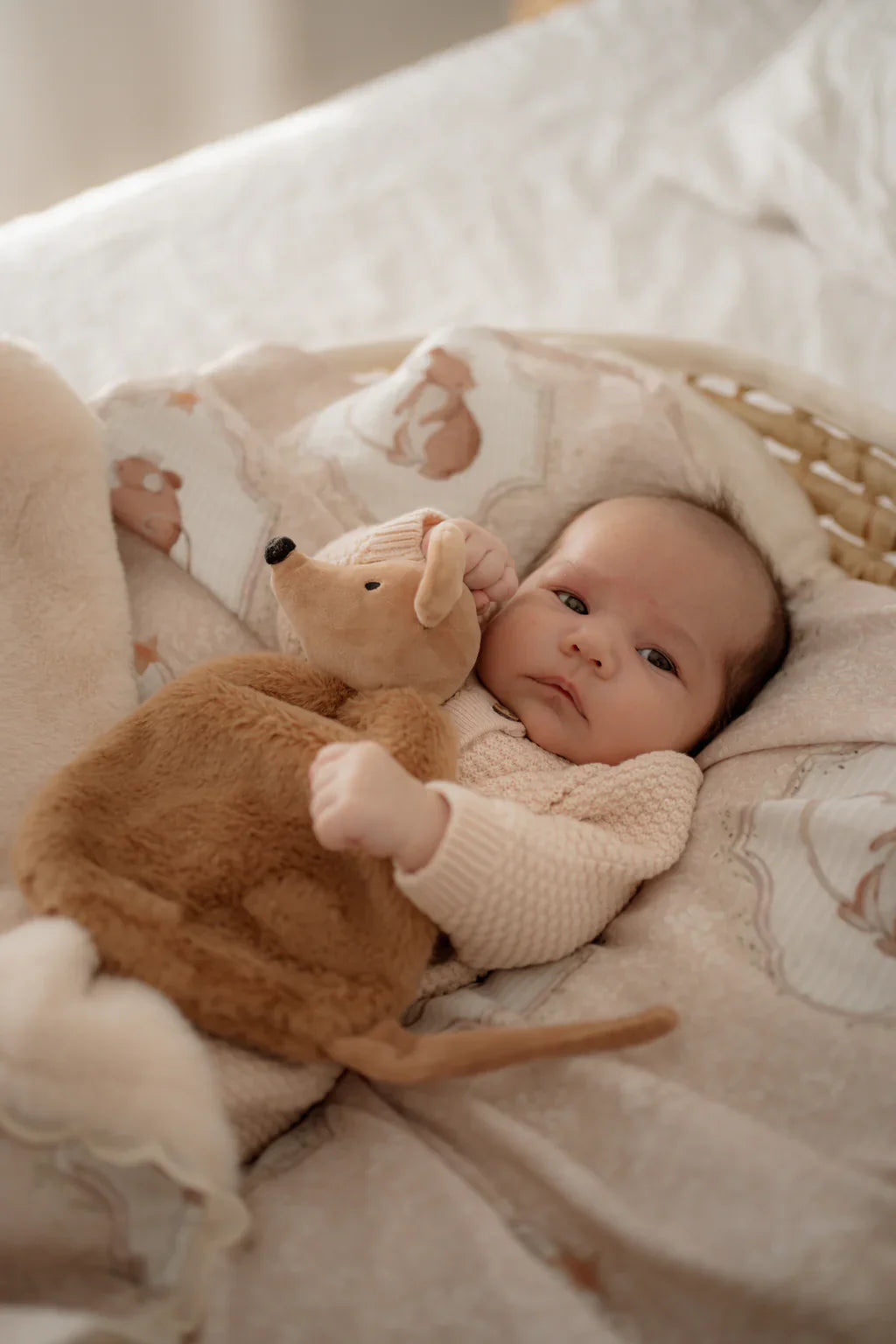Baby Comforters