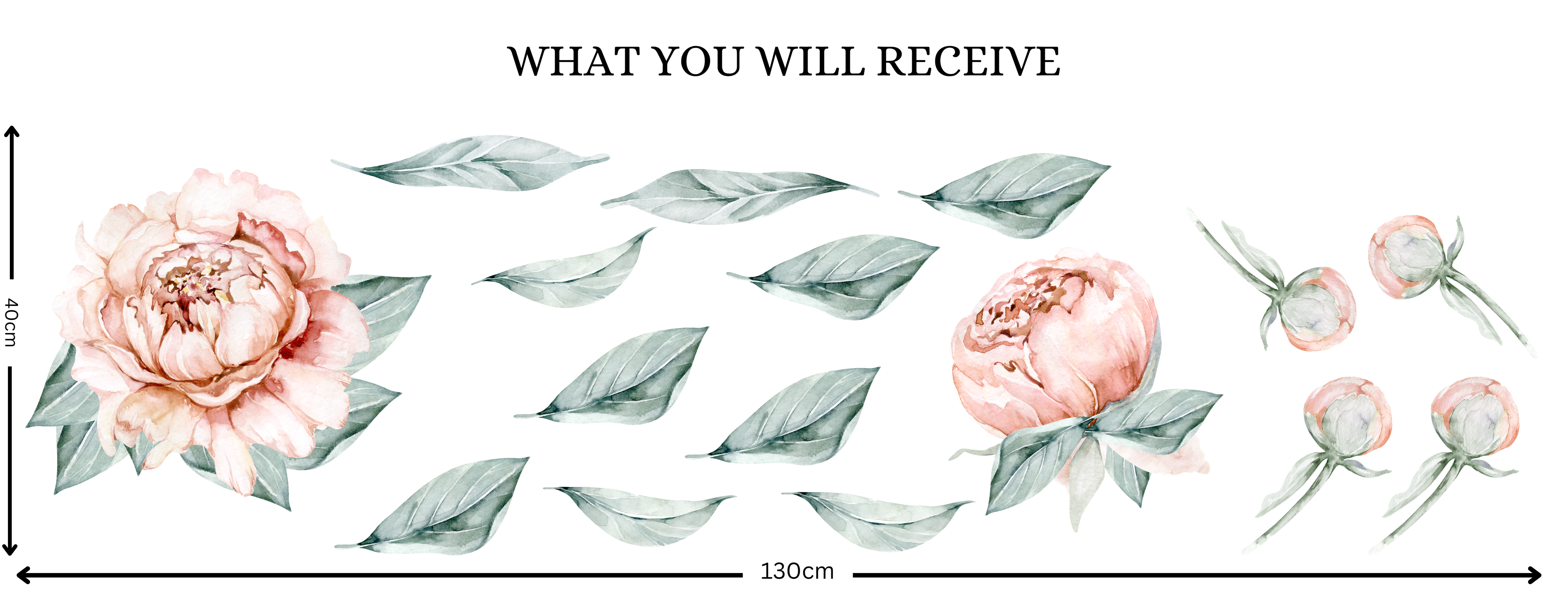 Blush Peony Wall Decal