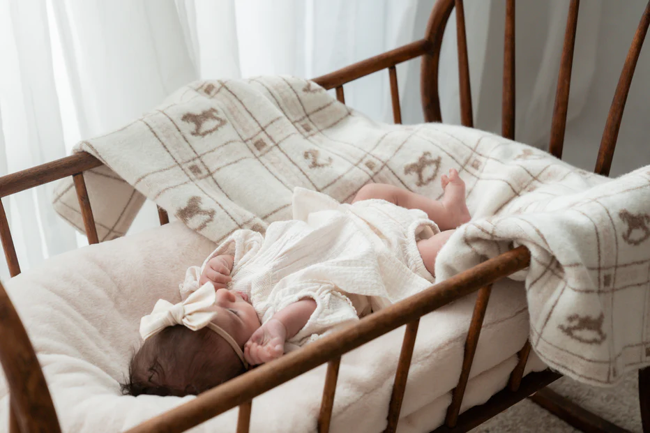 Rocking Horse Blanket