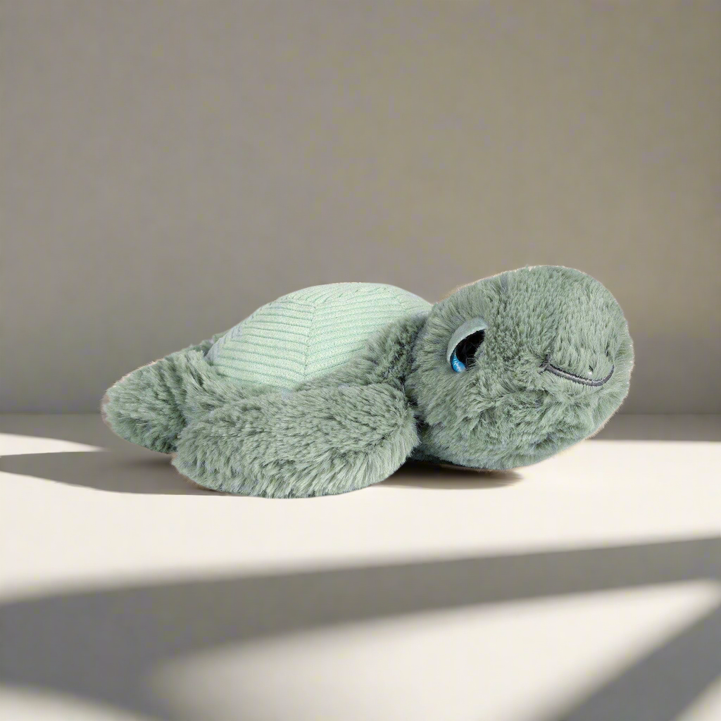 Little Tyler Turtle