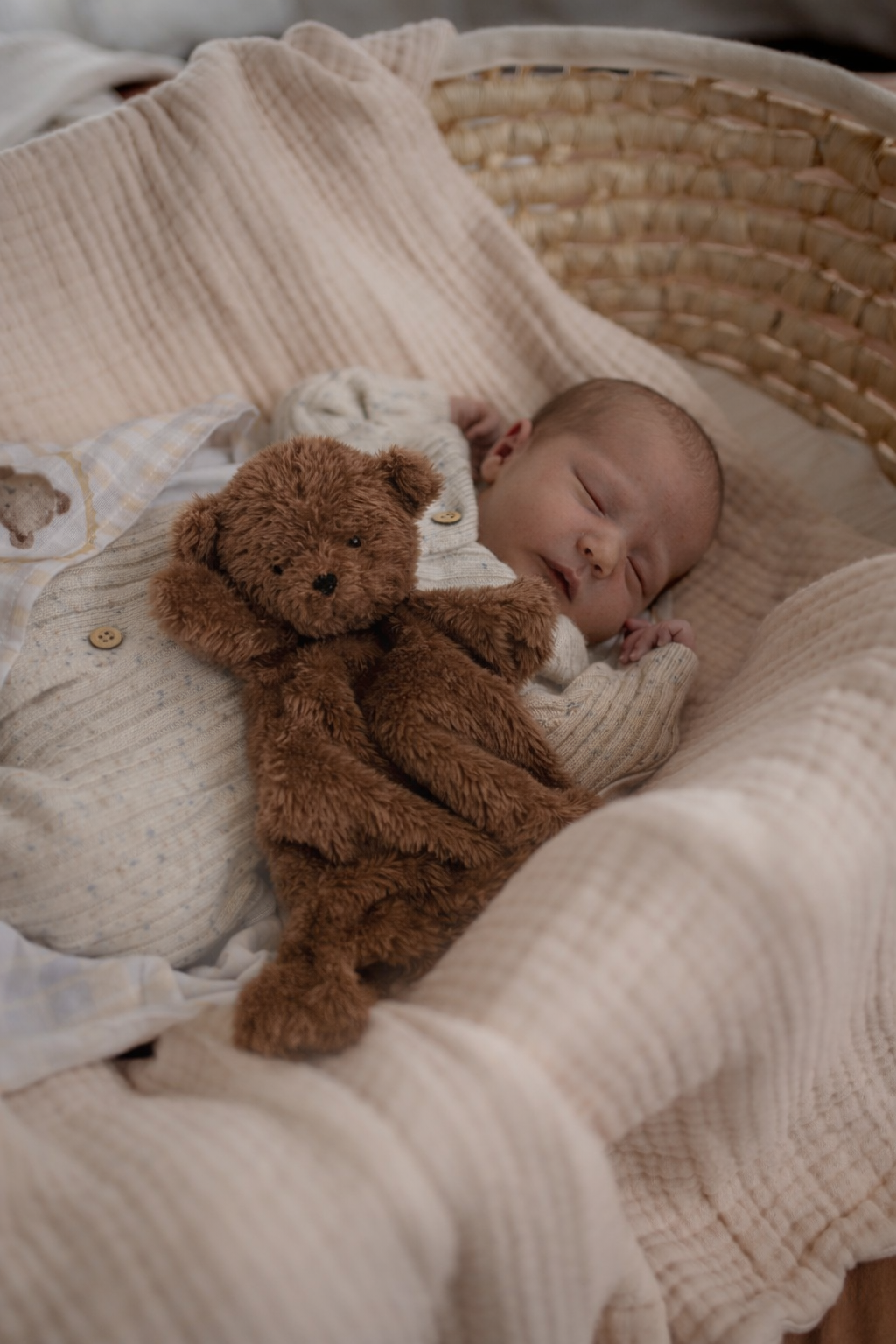 Little Ted Comforter Toy