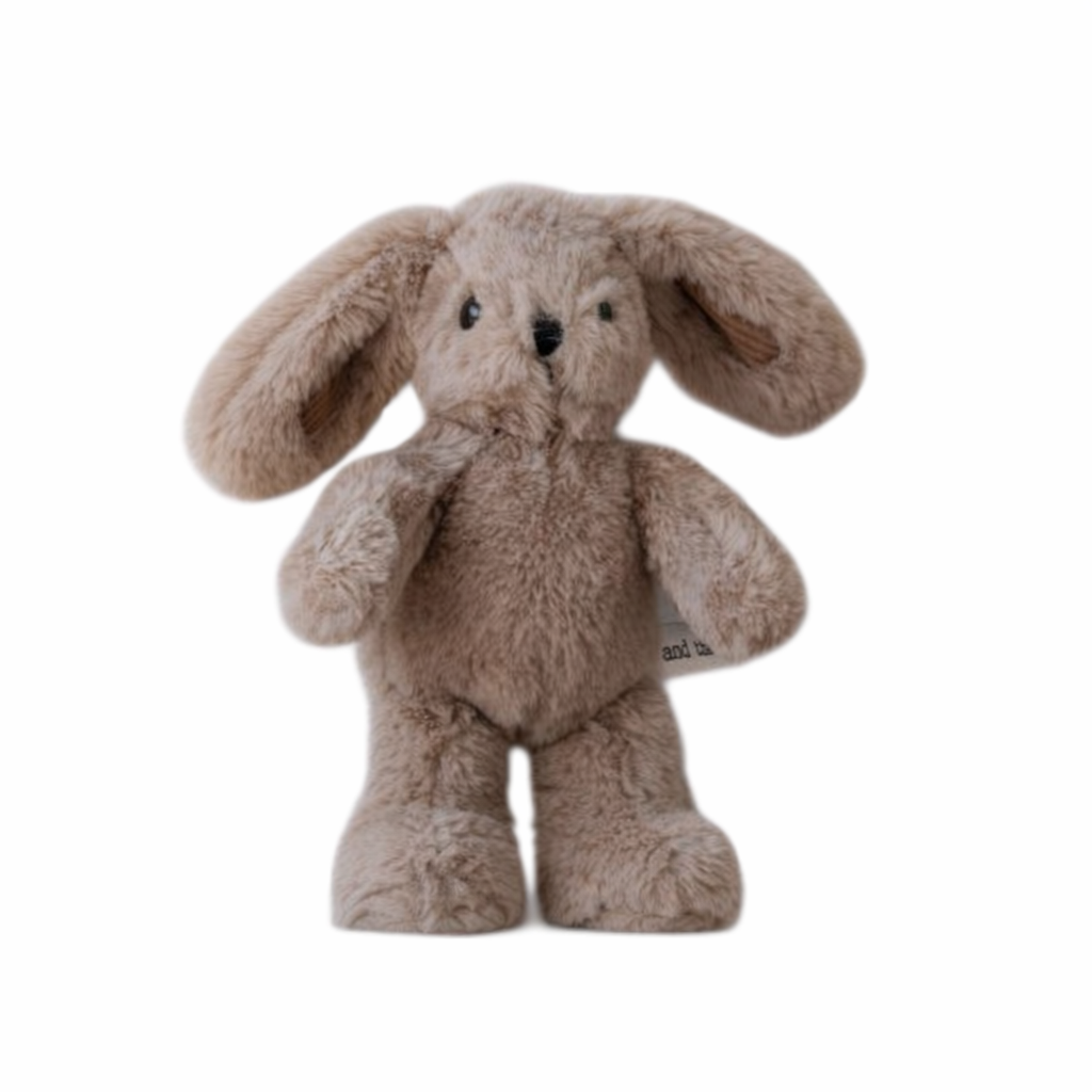 Hugh Rabbit