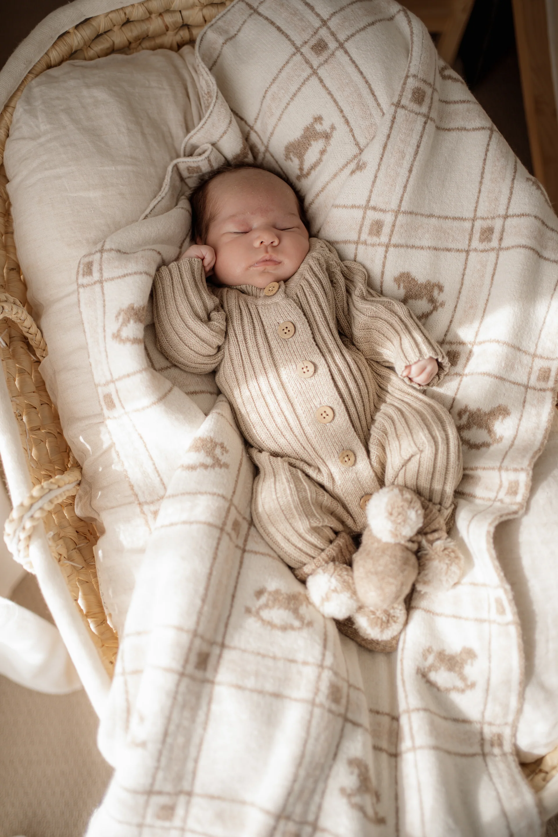 Rocking Horse Blanket